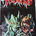 Tankard - Other Collectable - Tankard Hair Of The Dog Poster EMP