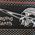 Praying Mantis - Patch - Praying Mantis - Time Tells No Lies embroidered patch