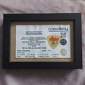 The Stranglers - Other Collectable - The Stranglers framed guitar pick & ticket stub