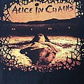 Alice In Chains - TShirt or Longsleeve - Alice In Chains - Dirt