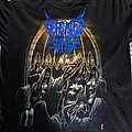Defeated Sanity - TShirt or Longsleeve - Defeated sanity lowest in their hierarchy of sickness shirt