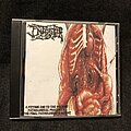 Infester(Goregrind) - Tape / Vinyl / CD / Recording etc - Infester(Goregrind) CD