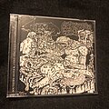 Cystgurgle - Tape / Vinyl / CD / Recording etc - Cystgurgle & Fiend Split CD