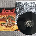 INCUBUS - Tape / Vinyl / CD / Recording etc - Incubus - Sepent Temptation LP