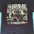 Terrorizer - TShirt or Longsleeve - Terrorizer - Darker Days Ahead