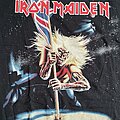 Iron Maiden - TShirt or Longsleeve - Iron Maiden Beast on the Road shirt