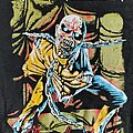 Iron Maiden - TShirt or Longsleeve - Iron Maiden Piece of Mind Transfer print shirt
