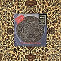 Morbid Angel - Tape / Vinyl / CD / Recording etc - Morbid Angel - Altars Of Madness LP