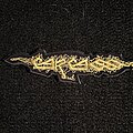 Carcass - Patch - Carcass Logo Patch
