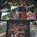 Disgorge(US) - Tape / Vinyl / CD / Recording etc - Disgorge(US) Cd She lay gutted