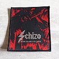 Schizo - Patch - Schizo Main Frame Collapse Patch