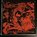 Larvae - Tape / Vinyl / CD / Recording etc - Larvae - "Sickening Cadaveric Perversion" 7" Single