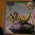 Praying Mantis - Tape / Vinyl / CD / Recording etc - Praying Mantis- Time tells no lies lp