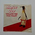 Status Quo - Tape / Vinyl / CD / Recording etc - Status Quo- Whatever you want/ Hard ride 7"