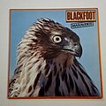 Blackfoot - Tape / Vinyl / CD / Recording etc - Blackfoot- Marauder lp