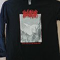 Blood Incantation - TShirt or Longsleeve - Blood Incantation Hidden History red longsleeve