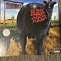 Blink 182 - Tape / Vinyl / CD / Recording etc - Blink 182 Dude ranch, Blink182 12” LP 180g