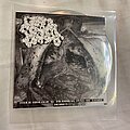 Gored Stomach Contents - Tape / Vinyl / CD / Recording etc - Gored stomach contents cd