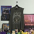 Slayer - TShirt or Longsleeve - Slayer Divine Intervention