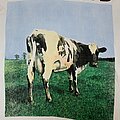 Pink Floyd - TShirt or Longsleeve - Pink Floyd Atom heart mother