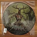 Skeletonwitch - Tape / Vinyl / CD / Recording etc - Skeletonwitch - Forever Abomination picture LP