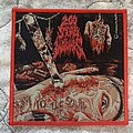 200 Stab Wounds - Patch - 200 Stab Wounds Slave to the Scalpel red glitter logo reissue