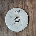 Skindred - Other Collectable - Skindred Signed Drumhead