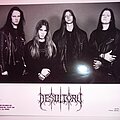 Desultory - Other Collectable - Desultory - Metal Blade Promo Photo & Press Kit