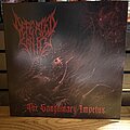 Defeated Sanity - Tape / Vinyl / CD / Recording etc - Defeated Sanity's BEST ALBUM