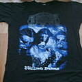 Immortal - TShirt or Longsleeve - Immortal-Blizzard Beasts shirt