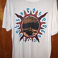 Alice In Chains - TShirt or Longsleeve - 1993 Alice In Chains Lollapalooza shirt