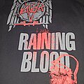 Slayer - TShirt or Longsleeve - Slayer Raining Blood shirt