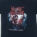 NECROTIC DISGORGEMENT - TShirt or Longsleeve - Necrotic Disgorgement - Documentaries Of Dementia