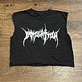 Immolation - TShirt or Longsleeve - Immolation - First in Hell