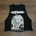 Carcass - TShirt or Longsleeve - Carcass - I Reek of Putrefaction