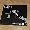 Odal - Tape / Vinyl / CD / Recording etc - odal sturmes brut