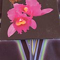 Opeth - Tape / Vinyl / CD / Recording etc - Opeth, Orchid CD.