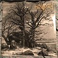 Graveland - Tape / Vinyl / CD / Recording etc - Graveland - The Celtic Winter LP first press