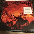 Deströyer 666 - Tape / Vinyl / CD / Recording etc - Destroyer 666 - Call of the Wild clear LP