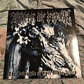 Cradle Of Filth - Tape / Vinyl / CD / Recording etc - Cradle of Filth - The Principle of Evil Made Flesh 2LP