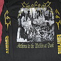 Emperor - TShirt or Longsleeve - Emperor - Anthems to the Welkin at Dusk longsleeve