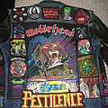 - My New Vest