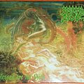 Morbid Angel - Tape / Vinyl / CD / Recording etc - Morbid Angel - Blessed Are The Sick