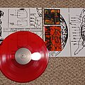 Sect Pig - Tape / Vinyl / CD / Recording etc - Sect Pig - Self-Reversed Die Hard