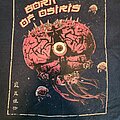 Born Of Osiris - TShirt or Longsleeve - Born of Osiris - brain/eyeball