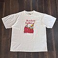 Butthole Surfers - TShirt or Longsleeve - Butthole Surfers 1996 Shirt