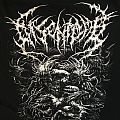 Disentomb - TShirt or Longsleeve - Disentomb