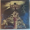 Inculter - Tape / Vinyl / CD / Recording etc - Inculter - Persisting Devolution