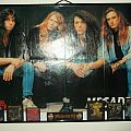 Megadeth - Other Collectable - Megadeth - Framed Rust in Piece era line up poster autographed by all 4 members...