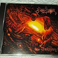 Angelcorpse - Tape / Vinyl / CD / Recording etc - Angelcorpse - The Inexorable CD